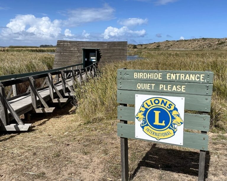 Goolwa Birdhide